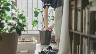 𝐏𝐥𝐚𝐲𝐥𝐢𝐬𝐭 날도 좋은데 미뤘던 방 청소나 해볼까 cleaning room music 🌿