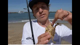 How to catch RED DRUM (Redfish) from Beach, Pier and Inshore Flats Fishing