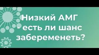 Низкий АМГ - есть ли шанс забеременеть?