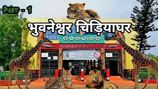 Nandankanan Zoological Park | Bhubaneswar Zoo | भुवनेश्वर चिड़ियाघर | Bhubaneswar Odisha