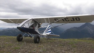 Yukon Chinooks # 13