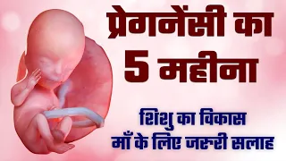 प्रेगनेंसी का पांचवा महीना | शिशु विकास और जरुरी सलाह | 5 month of Pregnancy | Garbh ka 5 mahina