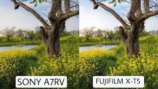 Sony A7RV Vs Fujifilm X-T5 | Camera Test