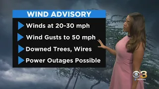 Philadelphia Weather: Stormy And Windy Monday