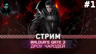 Baldur's Gate 3  ПРОХОЖДЕНИЕ ТАКТИКА | АБСОЛЮТНОЕ ЗЛО | #1