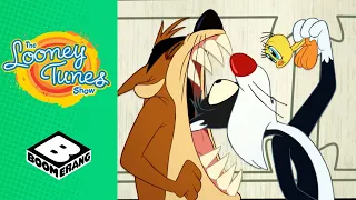 What Kind of Dog is This? | Looney Tunes | Boomerang UK