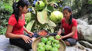 Find Natural guava for Food of survival in the rainforest - My Natural Food ep 100