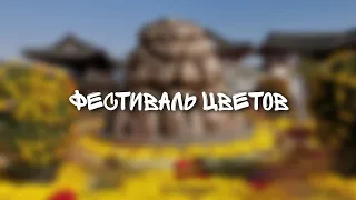 Фестиваль цветов в Корее. VLOG  #9