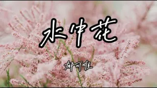 水中花  郁可唯 歌词版#时光音乐会#这纷纷飞花已坠落 往日深情早已成空