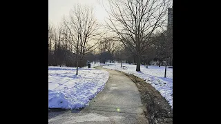 Etobicoke, Toronto - Saturday evening after a snowstorm (with captions) - Walking Tour #1 - 25.02.23