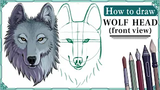 How to draw WOLF HEADS (front view) - Step by Step Art Tutorial