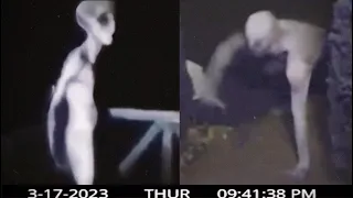 Unknown DISTURBING Creatures Caught on Camera 2023