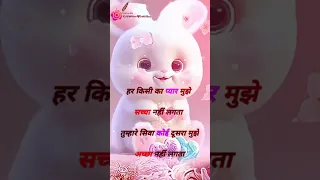 Love shayari status video beautiful teddy wear video #shorts #shortsvideo #love