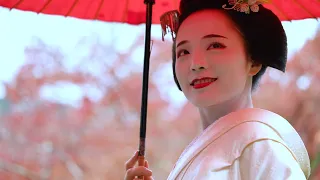 紅葉の南禅寺で「舞妓 秀眞衣さん」の舞