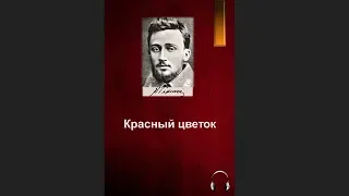 🎧Всеволод Михайлович Гаршин - Красный цветок