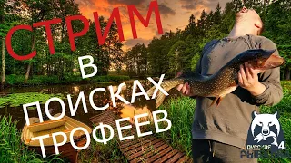 Рыба есть? А если найду? ● РР4 ● РУССКАЯ РЫБАЛКА 4