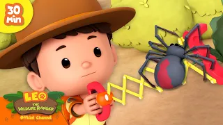 🪲🐞 BEST BUG ADVENTURES! 🕷️🐛 Venomous Spiders & more! | Leo the Wildlife Ranger | Kids Cartoons