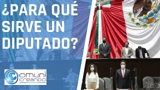 FUNCIONES DE UN DIPUTADO FEDERAL 🇲🇽