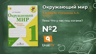 Задание 2 Что у нас под ногами? - Окружающий мир 1 класс (Плешаков А.А.) 1 часть