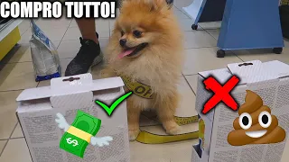 COMPRO TUTTO quello che il MIO CUCCIOLO di CANE TOCCA!!! *costoso*