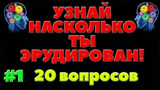 УЗНАЙ НАСКОЛЬКО ТЫ ЭРУДИРОВАН (ТЕСТ) - выпуск 1