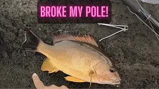 Catching fish with a BROKEN POLE  in Hawaii! Hilo Break Wall hand pole action!