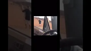 Funny Arabic Guy Steals A camel