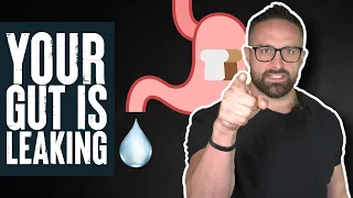 You Gut is Leaking with Steven Gundry | What the Fitness | Biolayne