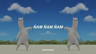 Llama -Mi pan su su sum / Llama -Alpaca bailando /Divertido Tik Tok