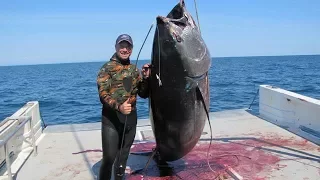 SUPER !!! Pemancing dapat Ikan Tuna Monster,Lihat Gayanya