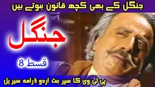 Jungle Episode 8 PTV Classic Urdu Drama Serial