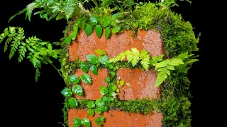 Living Moss Brick (Satisfying and Relaxing Build)