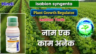 isabion Syngenta | Isabion Tonic | Plant Growth Regulator | isabion hindi | Amino acid, इसाबियॉन PGR