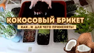 Кокосовый субстрат для рассады. Как я его применяю!