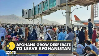 Afghanistan: US-Led evacuations to conclude next week | Latest World English News | WION News