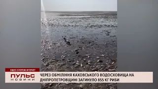 Через обміління Каховського водосховища на Дніпропетровщині загинуло 855 кг риби