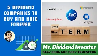 5 best long term dividend stocks to buy and hold forever 2024