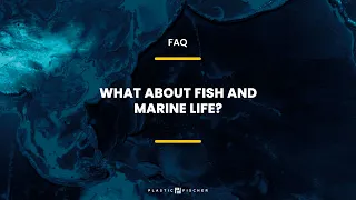 Plastic Fischer FAQ - What about fish and marine life?