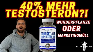 40 % mehr Testosteron mit diesem Testo booster?! Reaction auf Fitness Food Corner Selbstexperiment