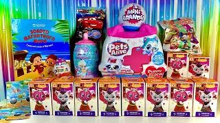 СЮРПРИЗ MIX! ZURU PETS ALIVE, MINI BRANDS, BABY SECRETS, KINDER SURPRISE,ЗОЛОТО МАГНИТНОГО МОРЯ,CARS