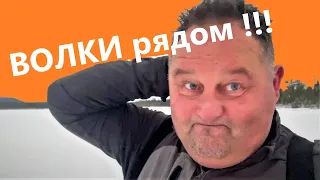 ПЕРВЫЙ ЛЁД. ПРИЕХАЛ В ИЗБУ, а там ВОЛКИ! !