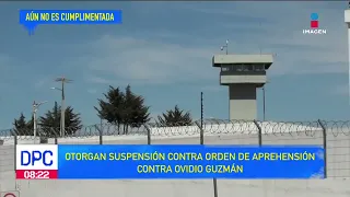 Ovidio Guzmán: suspensión contra orden de aprehensión | De Pisa y Corre