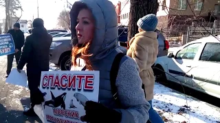 В Хабаровске на пикеты вышли противники и сторонники отлова косаток 1 февраля 2019