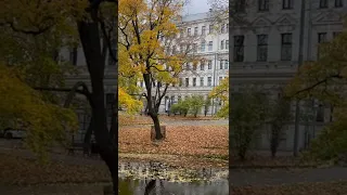 Riga latvia covered with beautiful autumn leaves 🍂🍁 #riga #latvia #shorts #youtubeshorts