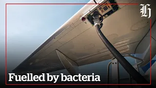 Bacteria could be the answer to aviation fuel crisis | nzherald.co.nz