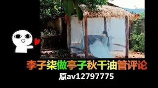 外国人看李子柒用旧物建亭子秋千,是一种什么体验?