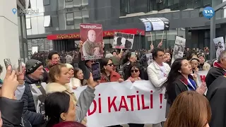 Kediyi tekmeleyerek öldüren kişi serbest: Hayvan hakları temsilcileri tepkili