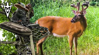 First River Farm Card Pull, Save $$$ On USA Treestands | Midwest Whitetail