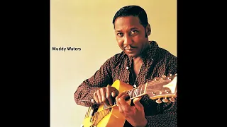 She Moves Me  -  Muddy Waters