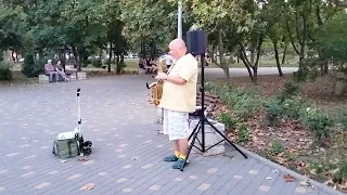 Modern Talking - You're My Heart, You're My Soul (Remastered) saxophone cover street performer!